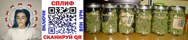 мега tor  Лениногорск  МАРИХУАНА White Widow 